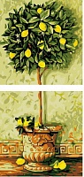 Картина по номерам Лимонное дерево